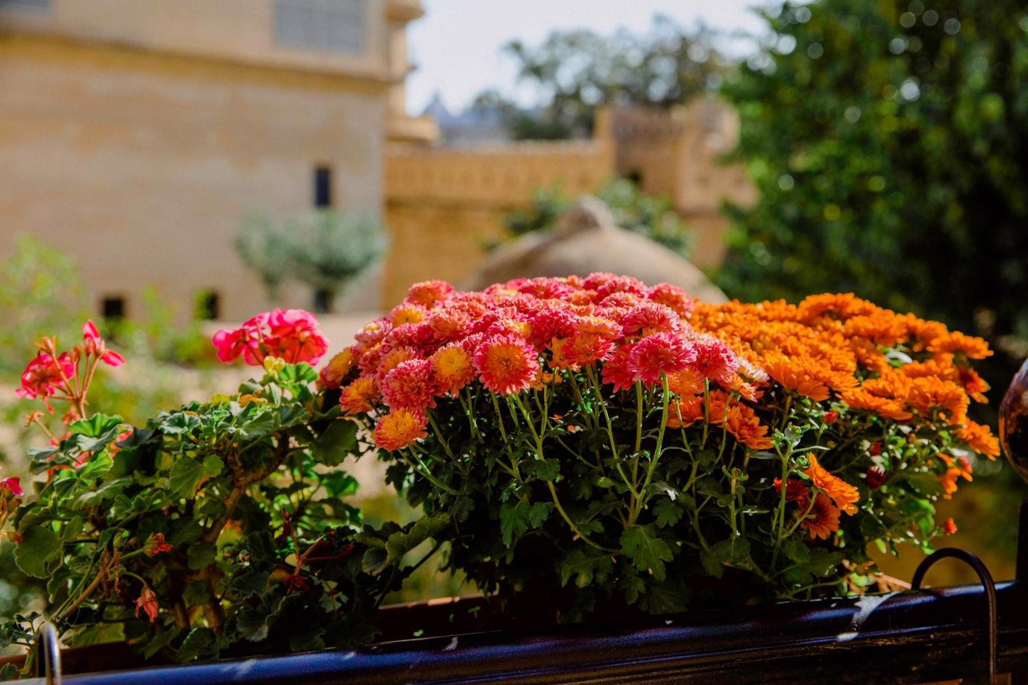 Royal Antique Boutique Hotel Baku Exterior photo